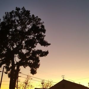 Meet your Posher, Ellen